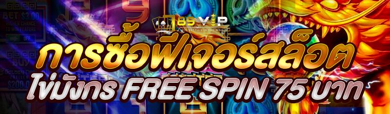 การซื้อฟีเจอร์สล็อตไข่มังกร Free Spin 75 บาท